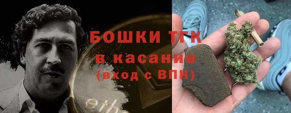 гашик Козловка