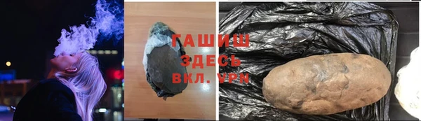 гашик Козловка