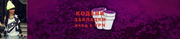 гашик Козловка