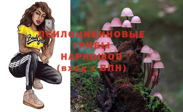 мдпв Козельск