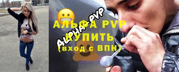 мдпв Козельск