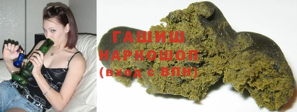 гашик Козловка