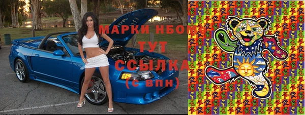гашик Козловка
