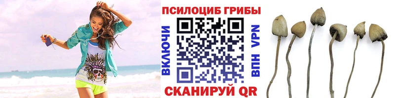 Псилоцибиновые грибы Magic Shrooms  Купить где  Новоуральск 